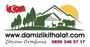 Damızlık İthalat